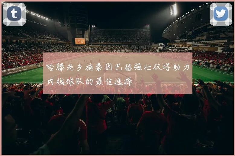 哈滕老乡施泰因巴赫强壮双塔助力内线球队的最佳选择