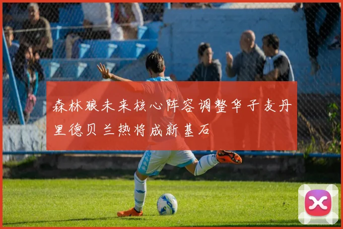 森林狼未来核心阵容调整华子麦丹里德贝兰热将成新基石