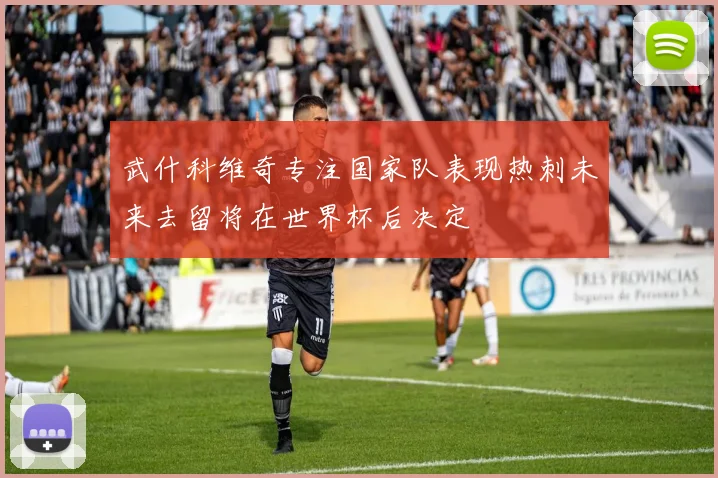 武什科维奇专注国家队表现热刺未来去留将在世界杯后决定