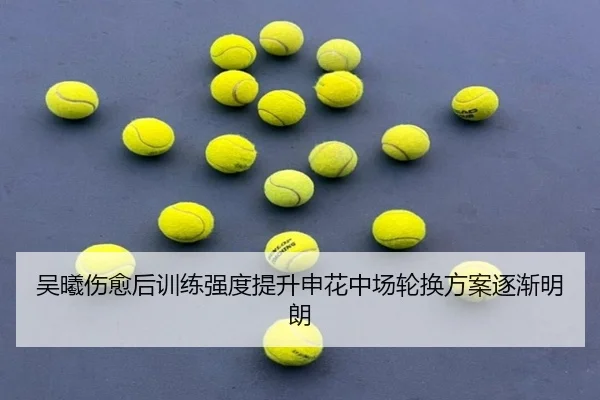 吴曦伤愈后训练强度提升申花中场轮换方案逐渐明朗 | manguan